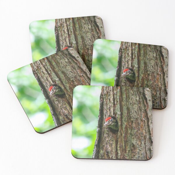 Item preview, Wood Pecker designed and sold by MTPhotos1406.