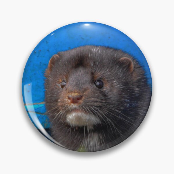 Item preview, American Mink designed and sold by MTPhotos1406.