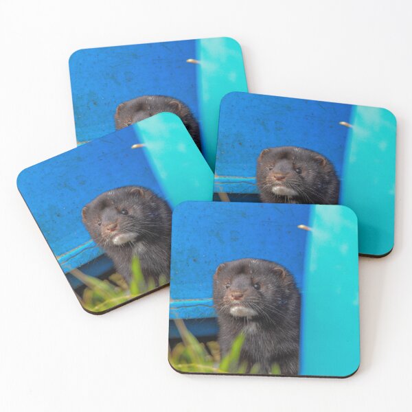 Item preview, American Mink designed and sold by MTPhotos1406.