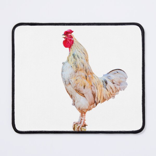 Item preview, Wakey-wakey rise and shine! designed and sold by Dalyndigital Photography.