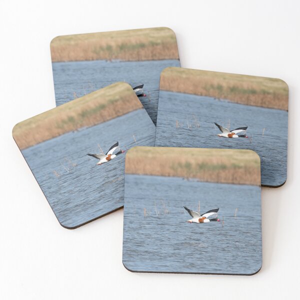 Item preview, Shelduck designed and sold by MTPhotos1406.
