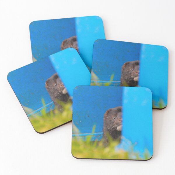 Item preview, American Mink designed and sold by MTPhotos1406.