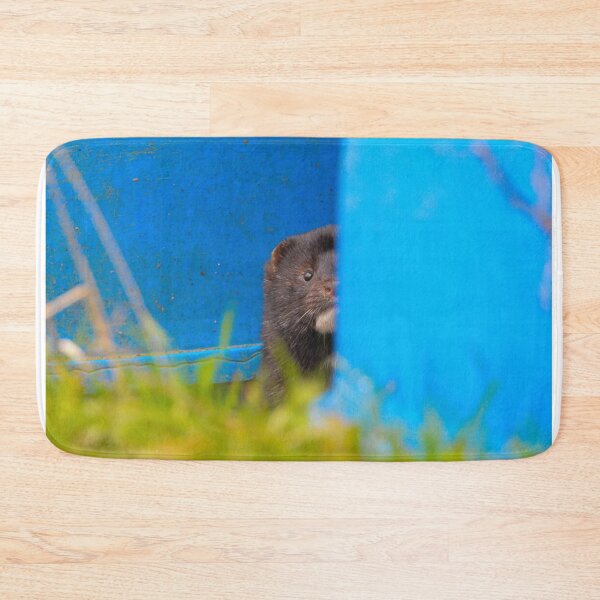 Item preview, American Mink designed and sold by MTPhotos1406.