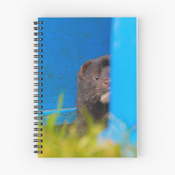 Item preview, American Mink designed and sold by MTPhotos1406.