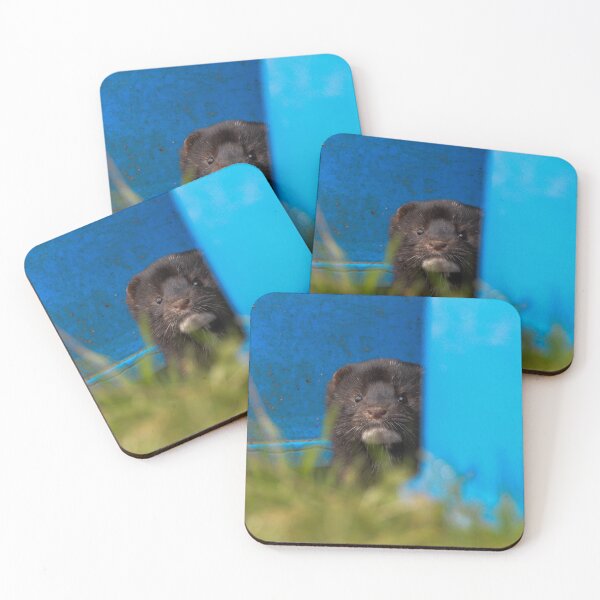 Item preview, American Mink designed and sold by MTPhotos1406.