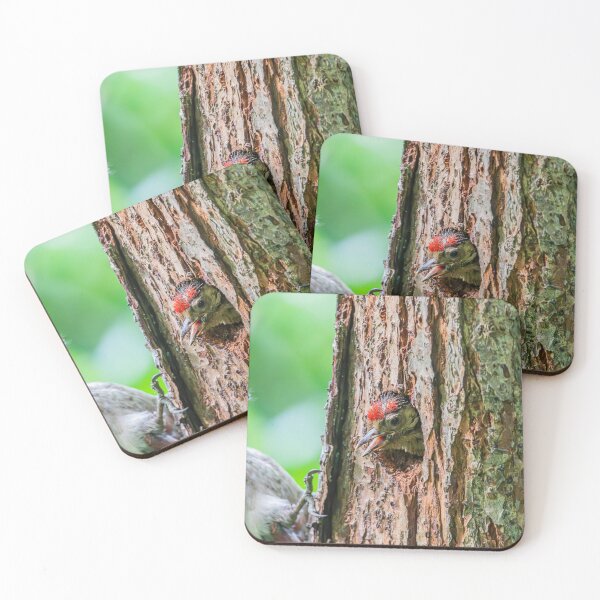 Item preview, Wood Pecker designed and sold by MTPhotos1406.