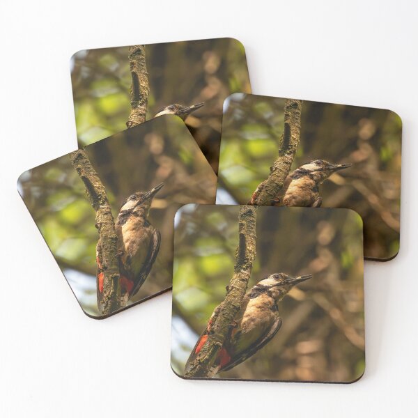 Item preview, Wood Pecker designed and sold by MTPhotos1406.