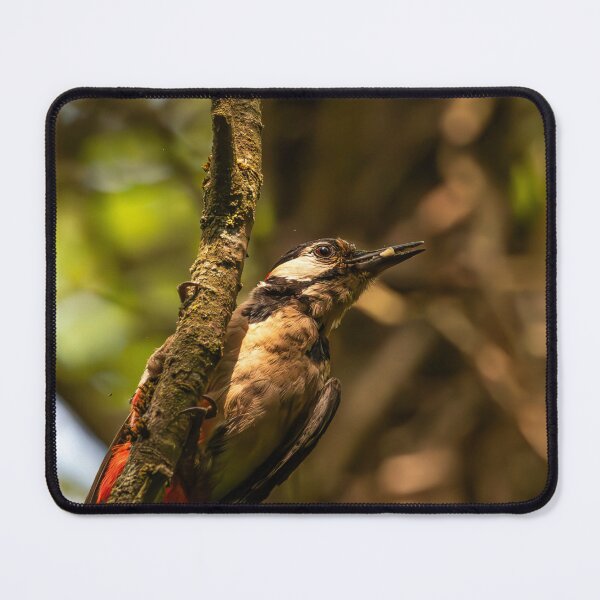 Item preview, Wood Pecker designed and sold by MTPhotos1406.