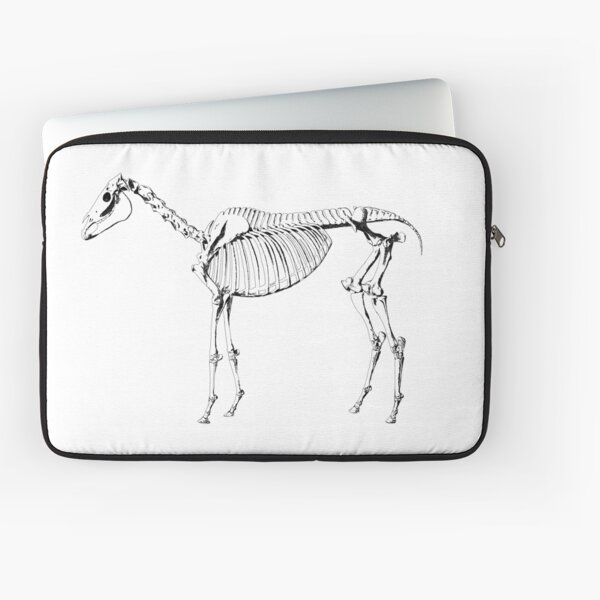 Aperçu de l'œuvre Squelette de cheval (Noir) créée et vendue par Zinesaxea.
