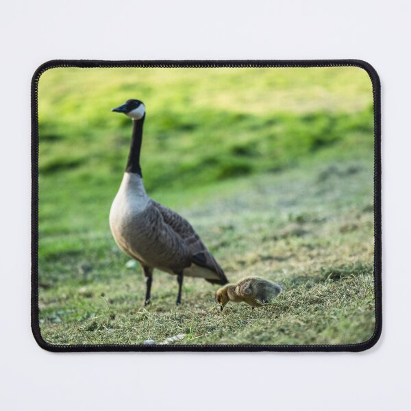 Item preview, Protective parent designed and sold by thelookoflife.