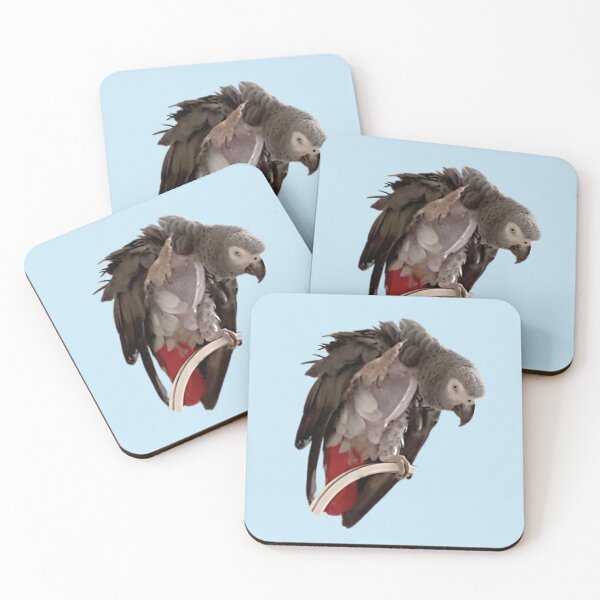 Item preview, Einstein African Grey Parrot Waving, Bare Chest designed and sold by einsteinparrot.
