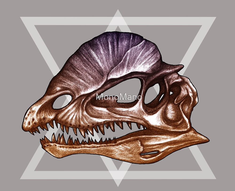 cool dinosaur skulls