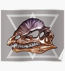 Dilophosaurus - Dinosaur Skulls Poster