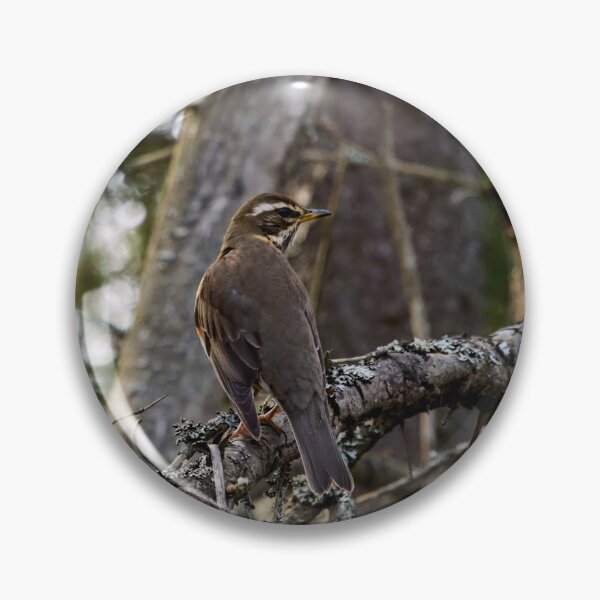 Item preview, In the forests. Redwing designed and sold by Jouko Lehto Photography.