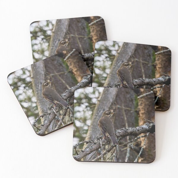 Item preview, In the forests. Redwing designed and sold by Jouko Lehto Photography.