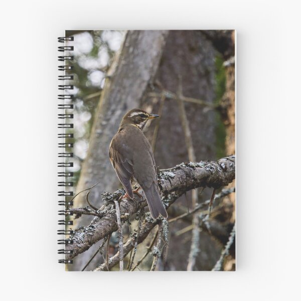 Item preview, In the forests. Redwing designed and sold by Jouko Lehto Photography.