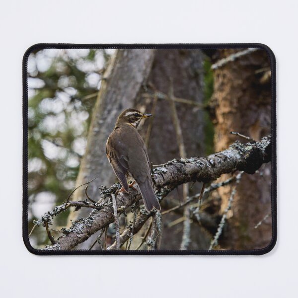 Item preview, In the forests. Redwing designed and sold by Jouko Lehto Photography.