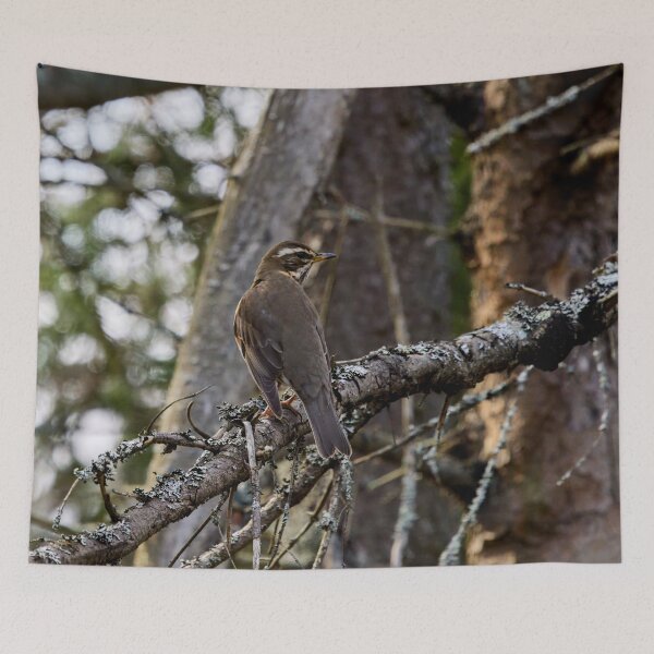 Item preview, In the forests. Redwing designed and sold by Jouko Lehto Photography.