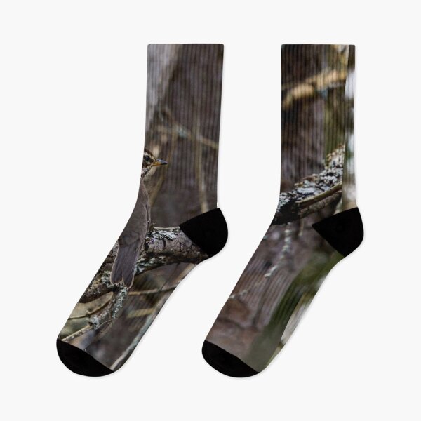 Item preview, In the forests. Redwing designed and sold by Jouko Lehto Photography.