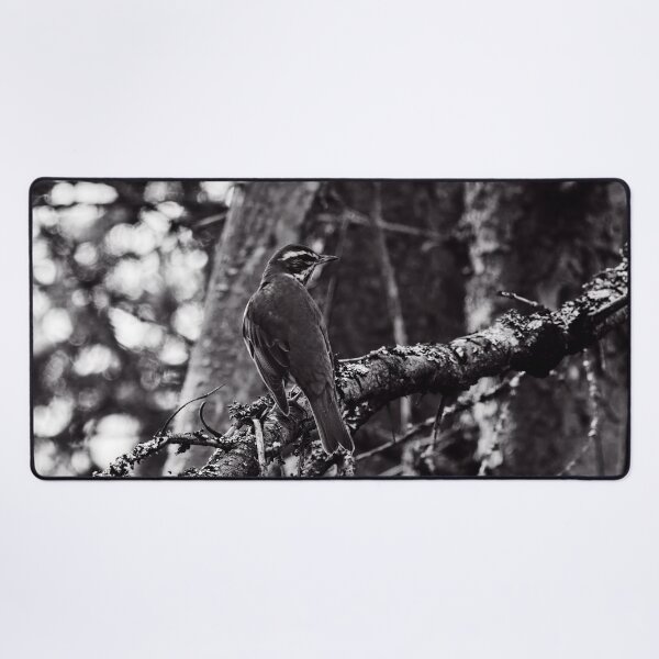 Item preview, In the forests. Redwing bw designed and sold by Jouko Lehto Photography.