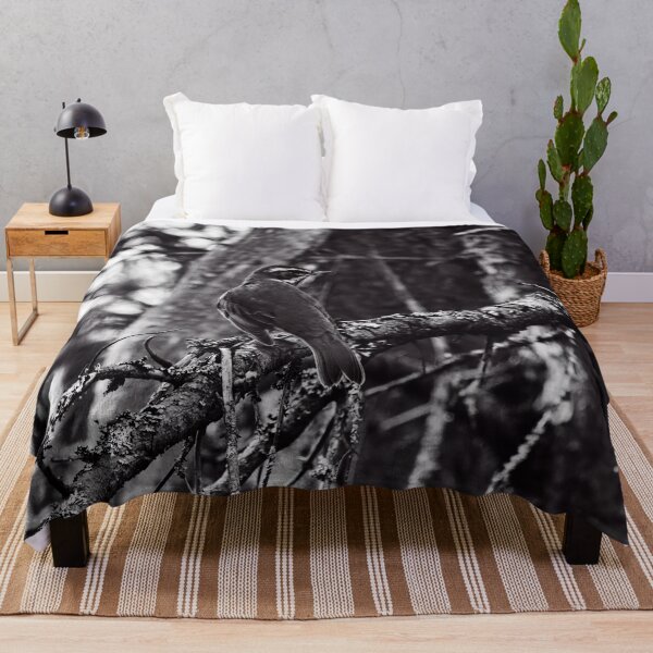Item preview, In the forests. Redwing bw designed and sold by Jouko Lehto Photography.