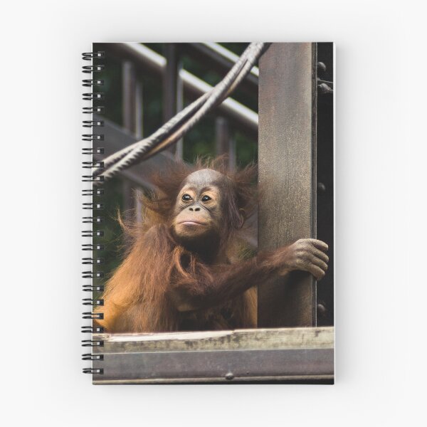 Item preview, Orangutan Baby designed and sold by GeorgeSears.