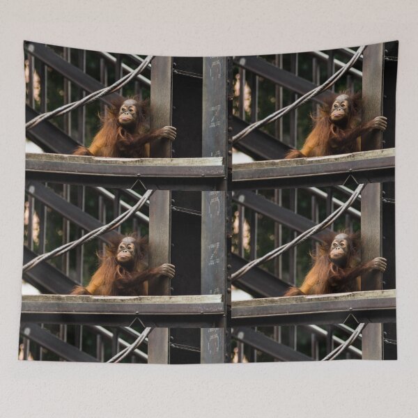 Item preview, Orangutan Baby designed and sold by GeorgeSears.