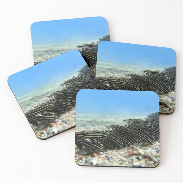 Item preview, Red Sea Creatures Marsa Alam  designed and sold by Ahmed ElMekawy.