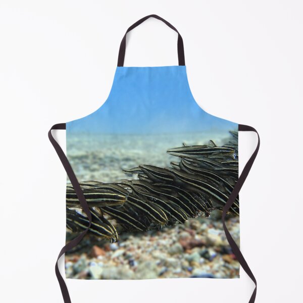 Item preview, Red Sea Creatures Marsa Alam  designed and sold by Ahmed ElMekawy.
