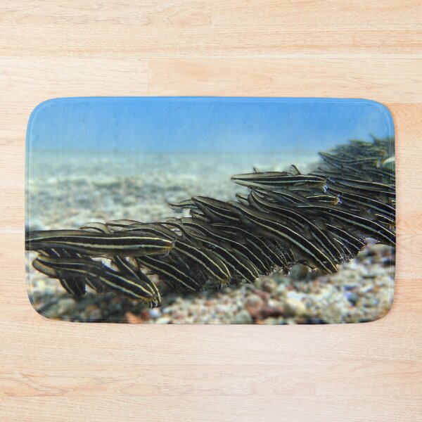 Item preview, Red Sea Creatures Marsa Alam  designed and sold by Ahmed ElMekawy.