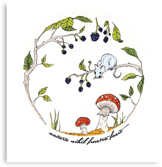 cute nature sticker canvas print by mylasthigh redbubble