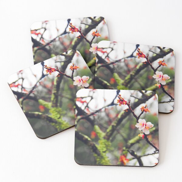 Item preview, Cherry blossoms designed and sold by swan2sky.