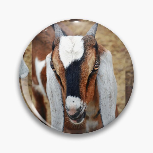 Item preview, Boer Goat designed and sold by Savannah Gibbs.