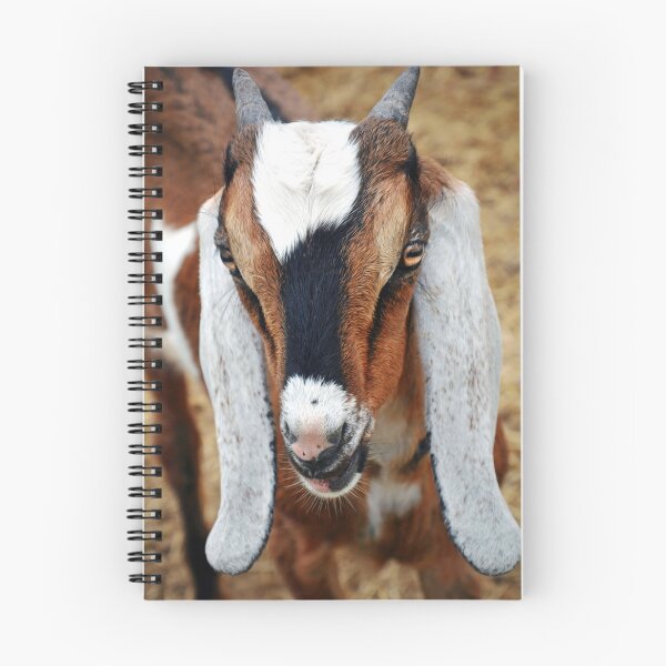 Item preview, Boer Goat designed and sold by Savannah Gibbs.