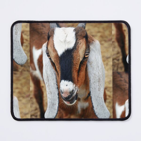 Item preview, Boer Goat designed and sold by Savannah Gibbs.