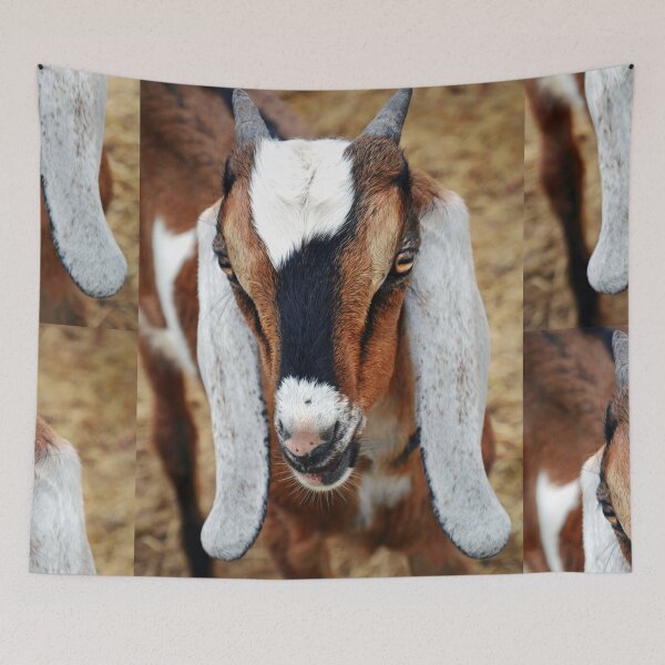 Item preview, Boer Goat designed and sold by Savannah Gibbs.