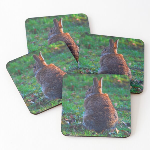 Artikelvorschau, Hase Bokah C2024 Steve Yellowbear Fotografie entworfen und verkauft von SteveYellowbear.