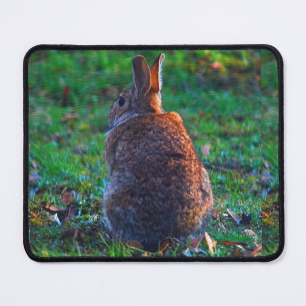 Item preview, Bunny Bokah C2024 Steve Yellowbear Photography designed and sold by SteveYellowbear.