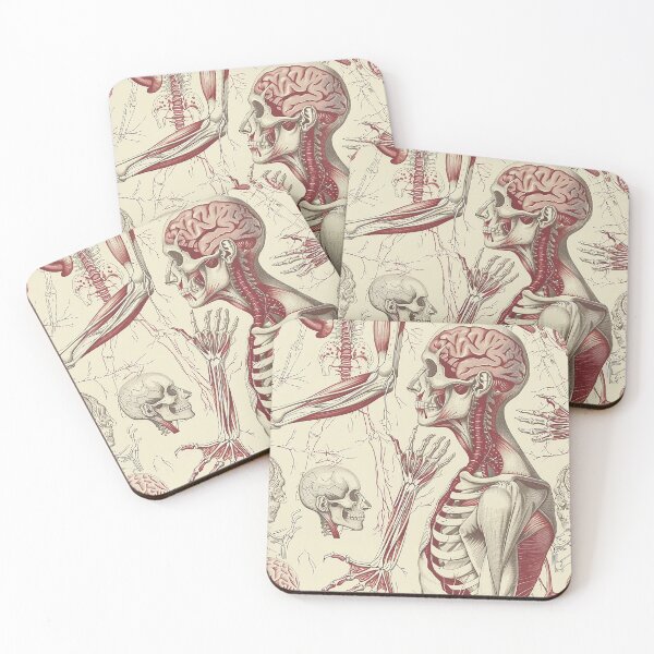 Item preview, Vintage Anatomy Pattern designed and sold by nomiraclehere.