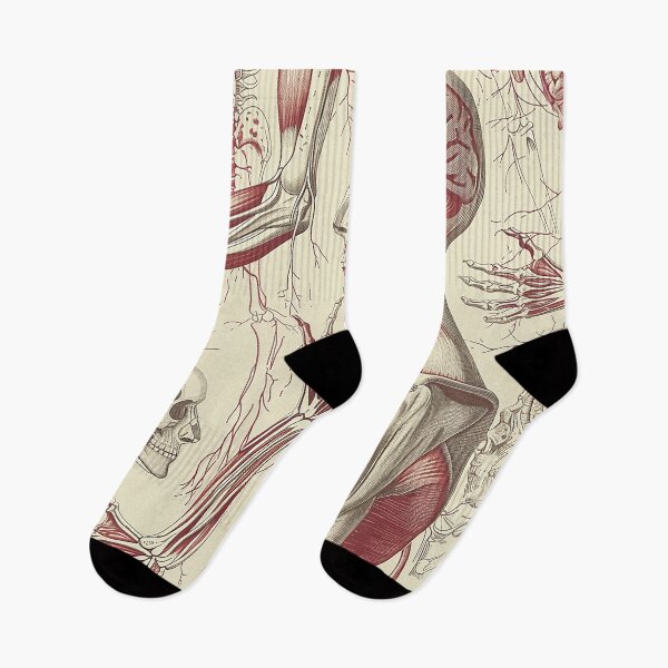 Item preview, Vintage Anatomy Pattern designed and sold by nomiraclehere.