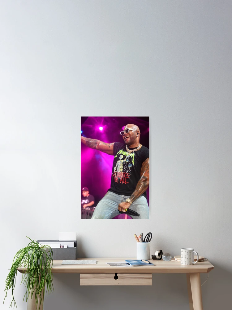 Thumbnail 2 of 3, Poster, Flo Rida - Photograph designed and sold by ConcertImages.