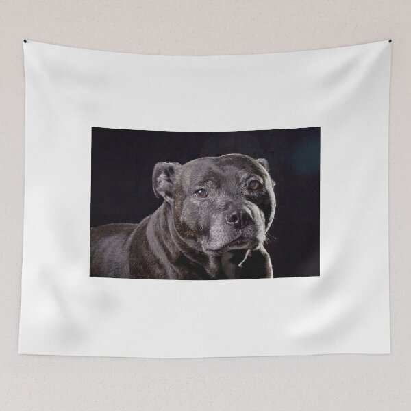 Item preview, Our loving pooch Harvey designed and sold by David  Hibberd.