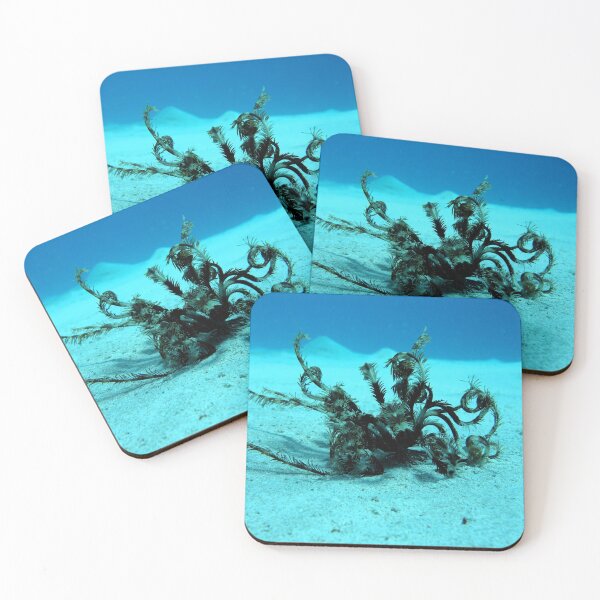 Item preview, Red Sea Creatures Marsa Alam  designed and sold by Ahmed ElMekawy.