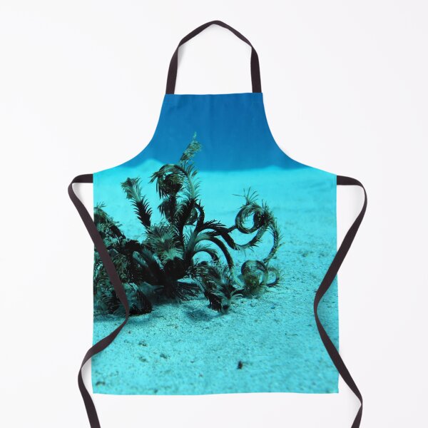 Item preview, Red Sea Creatures Marsa Alam  designed and sold by Ahmed ElMekawy.