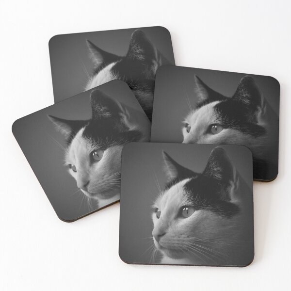 Aperçu de l'œuvre Portrait d'un chat créée et vendue par Vanja Rosenthal.