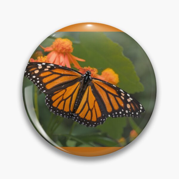 Item preview, Monarch Wings Spread Wide on Mexican Flame designed and sold by Debra Martz.