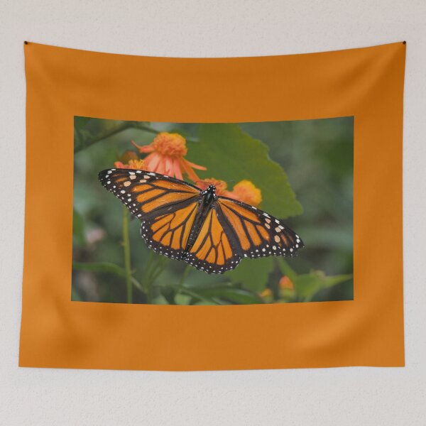 Item preview, Monarch Wings Spread Wide on Mexican Flame designed and sold by Debra Martz.