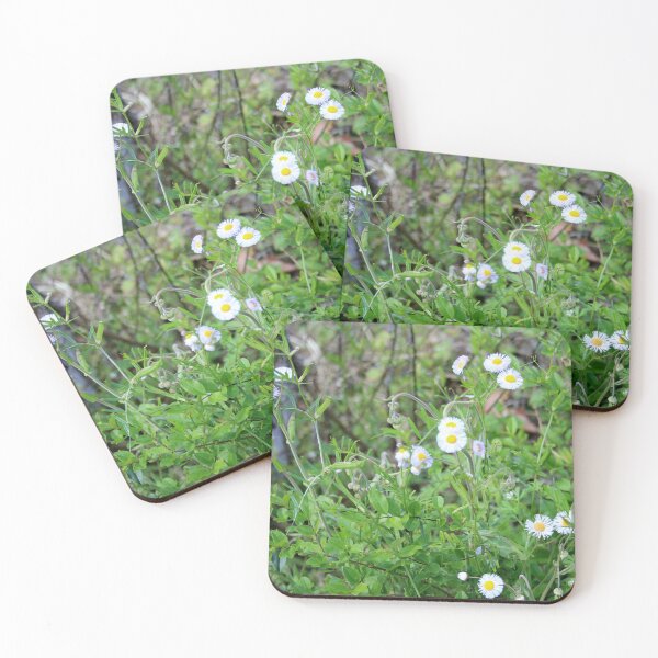Item preview, Wild Daisies  designed and sold by Cynthia48.
