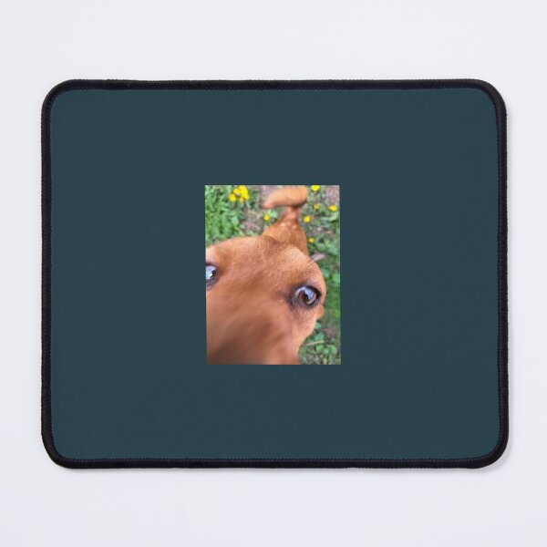 Item preview, A cute puppy looking at the camera .Big eyes dog designed and sold by Marici8.