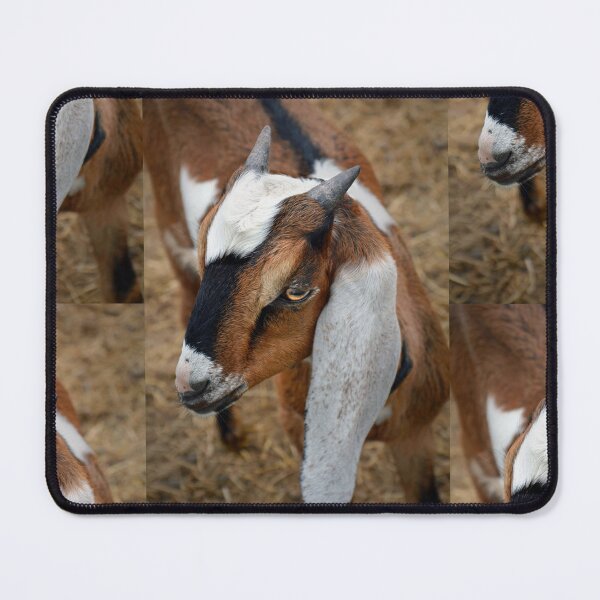 Item preview, The Boer Goat designed and sold by Savannah Gibbs.